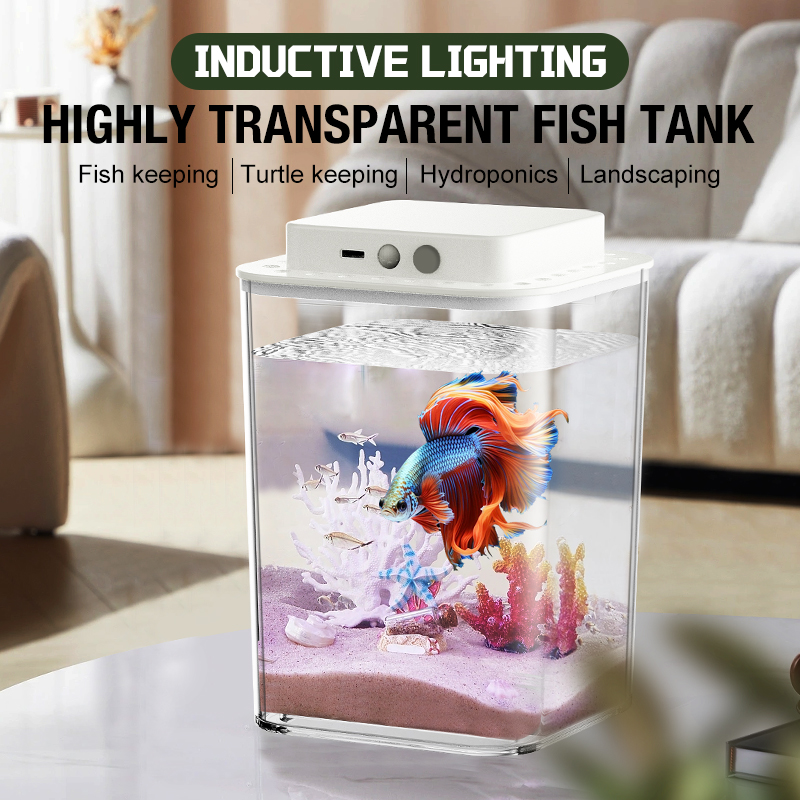 Marine Aquarium Water Change - Desktop fish tank, new aquarium, lazy