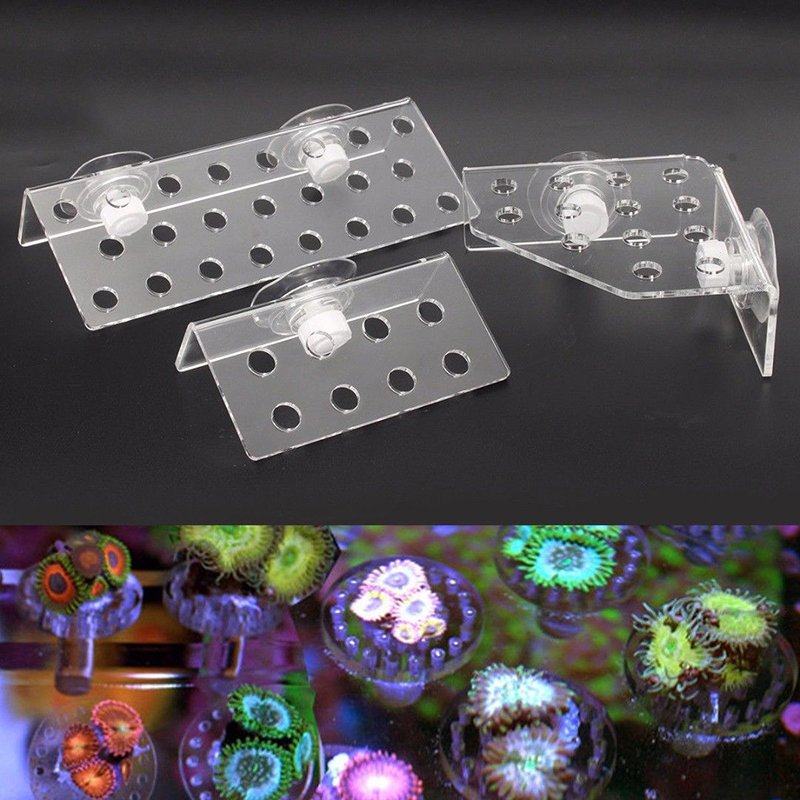Marine Aquarium Design - Coral Frag Rack SPS Acrylic Marine