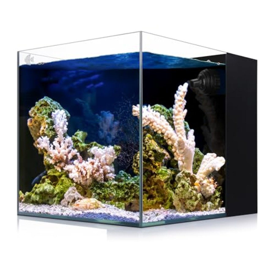 Marine Aquarium Design - 8-Gallon Saltwater Aquarium with Ultra Clear