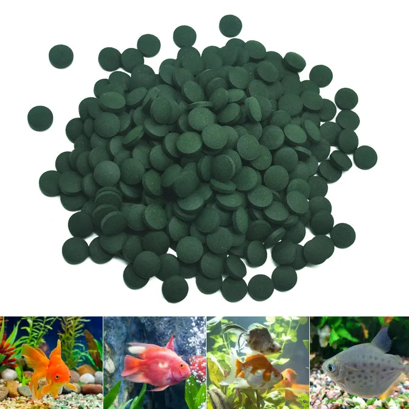 100-3000pc High Purity Spiruli - Marine Aquarium Bacteria recensione e prezzo