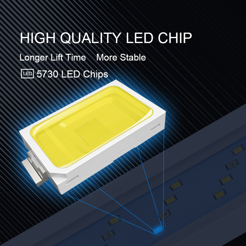 Extensible Waterproof Clip on  - Aquarium Marine Lights recensione e prezzo