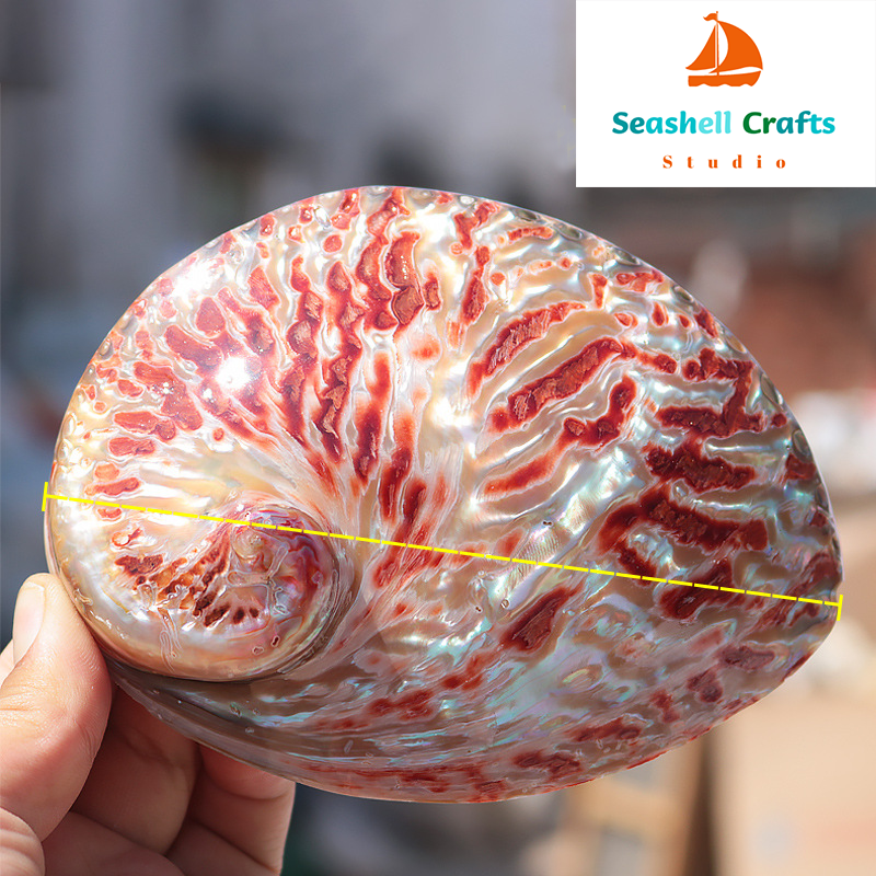 Home Decoration Red Pattern Ab - Marine Aquarium Decorations recensione e prezzo