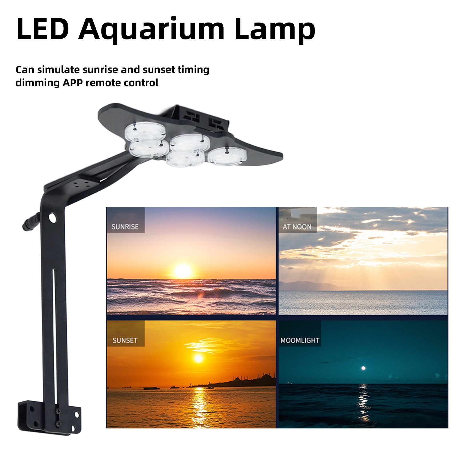 LED Marine Aquarium Coral Aqua - Aquarium And Marine recensione e prezzo