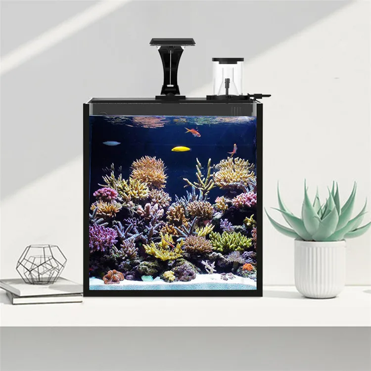 Latest Model Clear Glass Mini  - Aquarium Marine Salt recensione e prezzo
