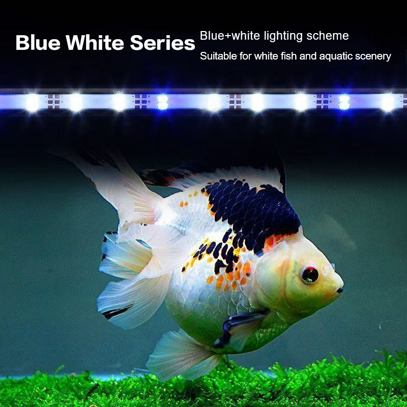 17-47CM USB Plug Aquarium Ligh - Aquarium Marine Lights recensione e prezzo