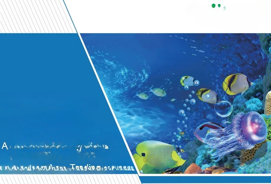 New Design Protein Skimming Aq - Marine Aquarium Design recensione e prezzo