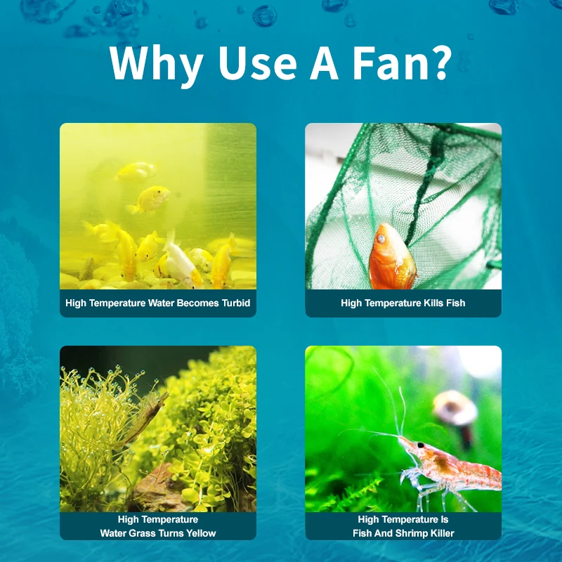 Jebao Jecod ACF Series Aquariu - Marine Aquarium Uk recensione e prezzo