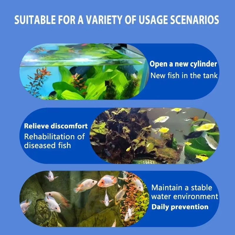 SIKEZHAN Fish Disease Treatmen - Marine Aquarium Bacteria recensione e prezzo