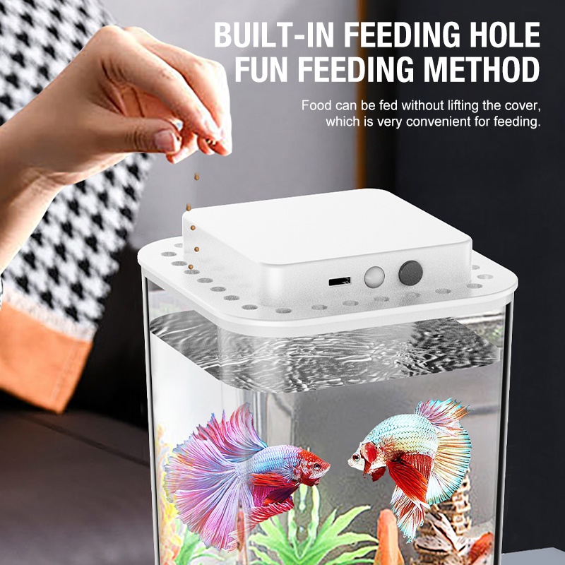Desktop fish tank, new aquariu - Marine Aquarium Water Change recensione e prezzo