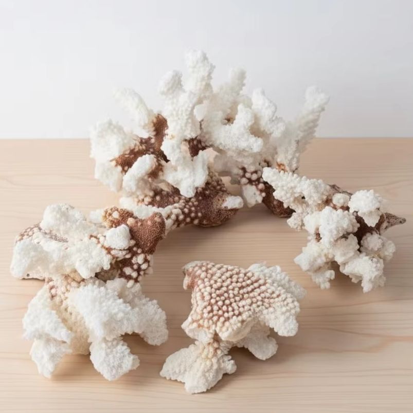 1pc Natural White Coral Cluste - Aquarium And Marine recensione e prezzo