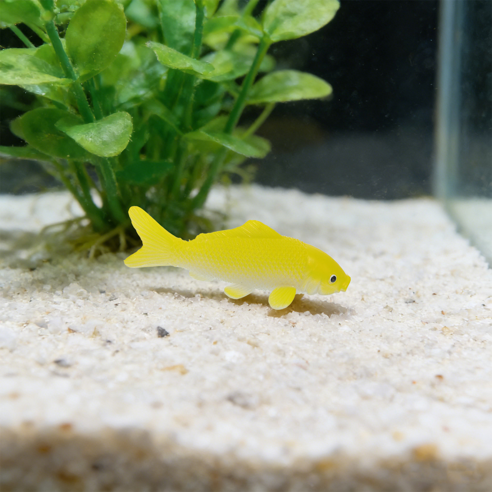 3pcs Fish Crafts Toys Realisti - Marine Aquarium Decorations recensione e prezzo
