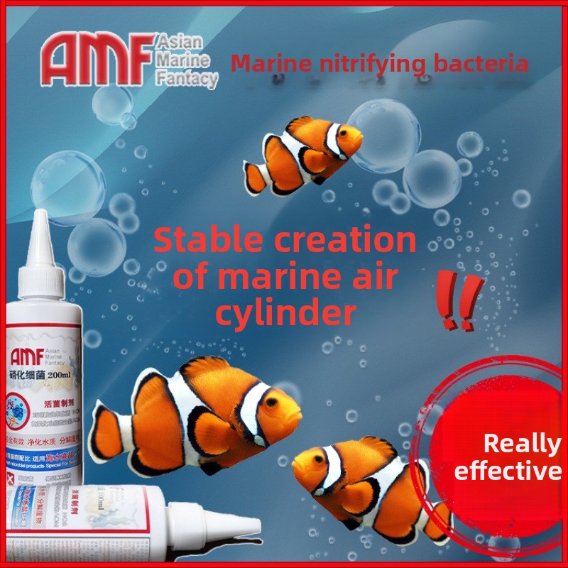 AMF Nitrifying Bacteria Aquari - Marine Aquarium Bacteria recensione e prezzo