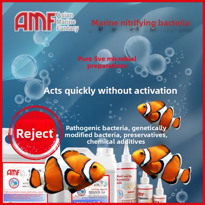 AMF Nitrifying Bacteria Aquari - Marine Aquarium Bacteria recensione e prezzo