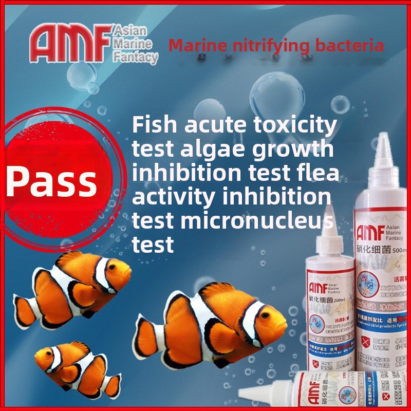 AMF Nitrifying Bacteria Aquari - Marine Aquarium Bacteria recensione e prezzo