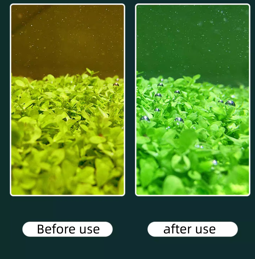 Water grass nutrient solution  - Marine Aquarium Bacteria recensione e prezzo