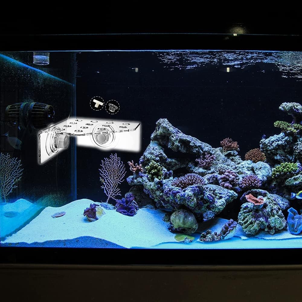 Coral Frag Rack SPS Acrylic Ma - Marine Aquarium Design recensione e prezzo
