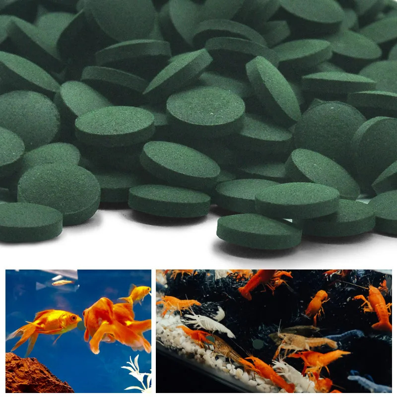 50-300Pcs High Purity Spirulin - Marine Aquarium Bacteria recensione e prezzo