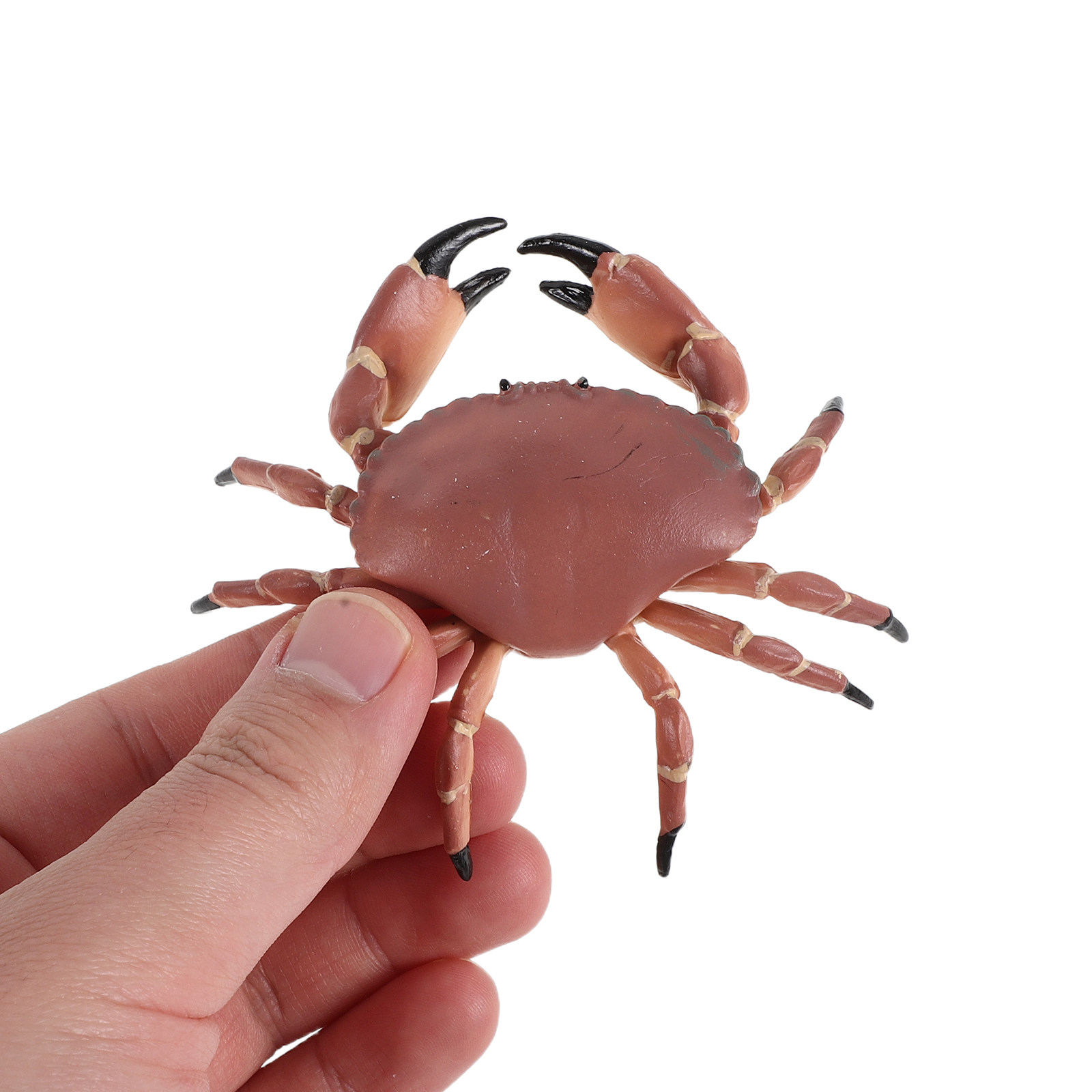3Pcs Realistic Plastic Crab Fi - Marine Aquarium Decorations recensione e prezzo