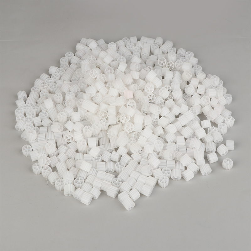 1Bag(150g) K1 Filter Media Bio - Marine Aquarium Bacteria recensione e prezzo