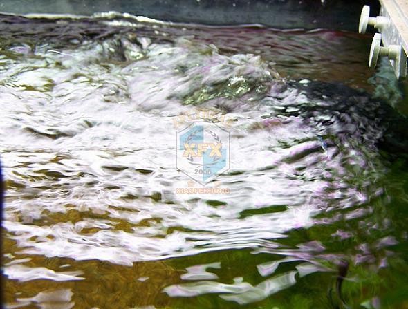 sunsun Jvp-200 newest waver ma - Aquarium Marine Salt recensione e prezzo