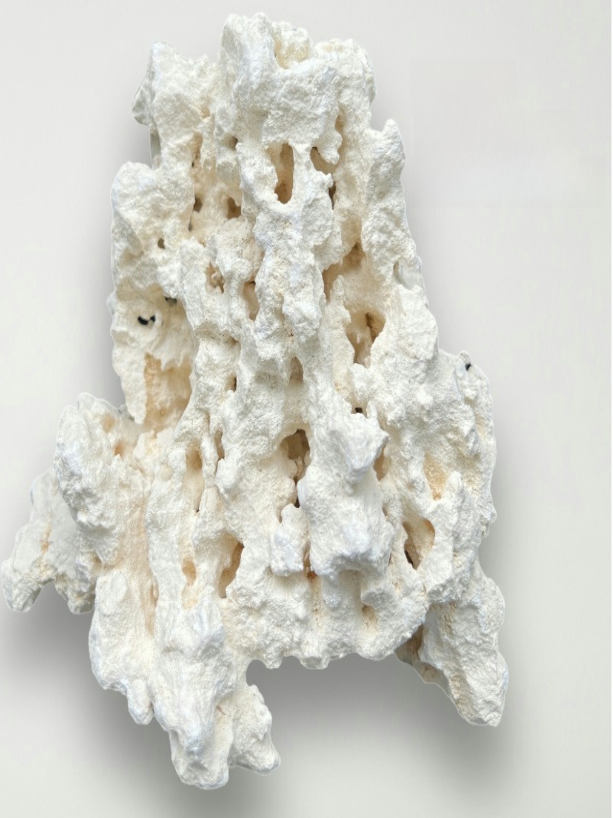 Kilago Dry Rock Natural Coral  - Marine Aquarium Bacteria recensione e prezzo