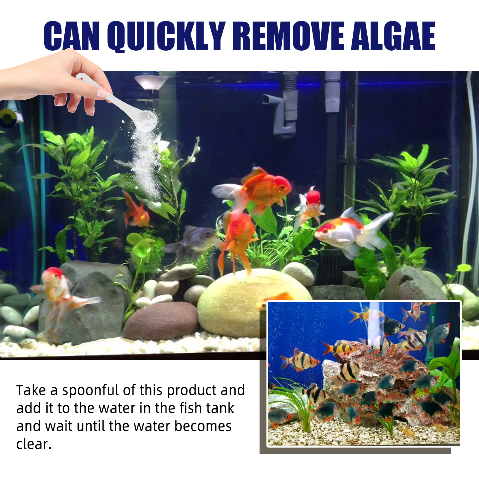 Algae Removal Quickly Removing - Aquarium Marine Salt recensione e prezzo