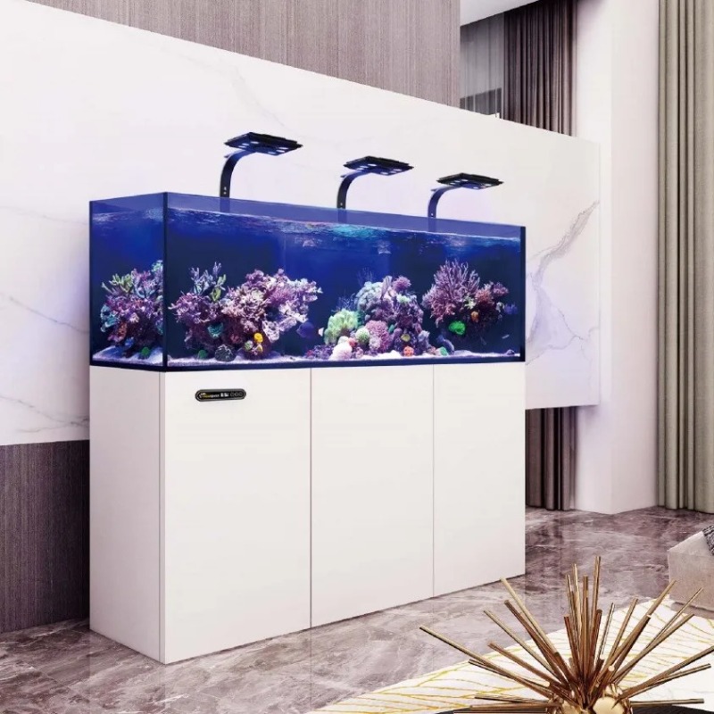 Custom Ultra Clear Glass Large - Aquarium Marine Salt recensione e prezzo