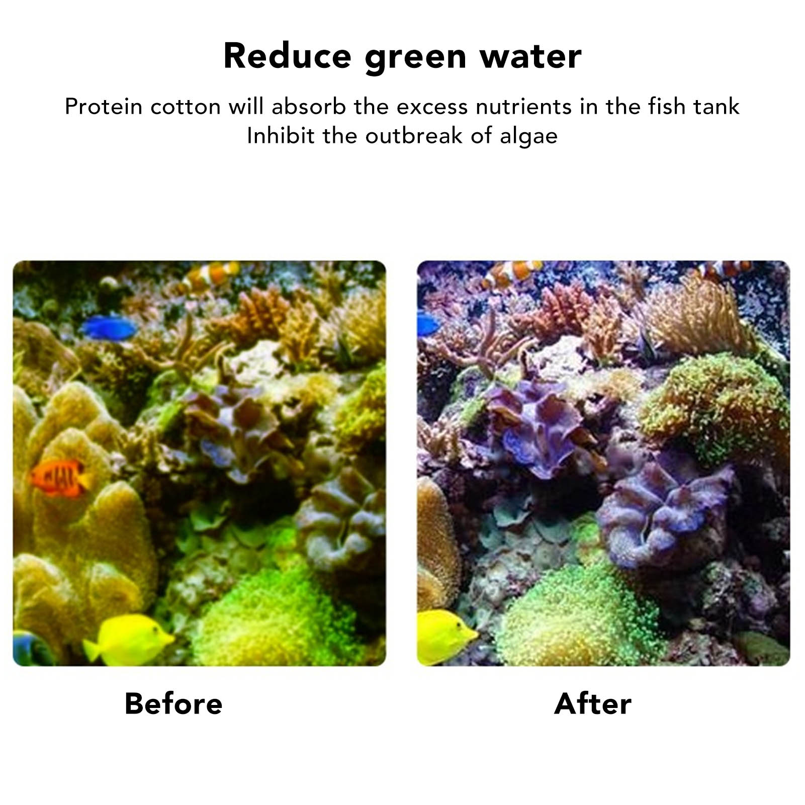 Fish  Filter Resin Aquarium Fi - Marine Aquarium Water Change recensione e prezzo