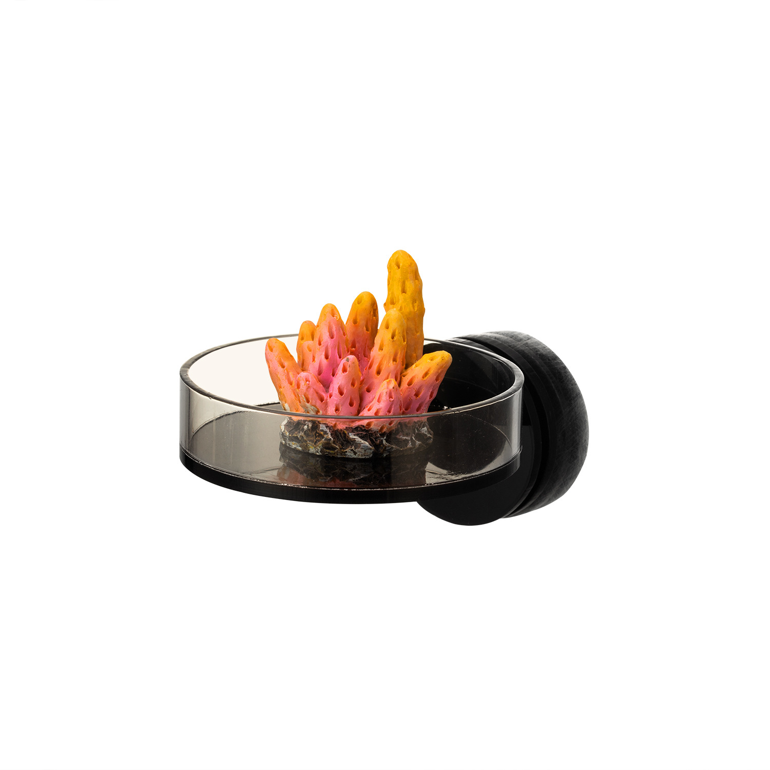 Marine Sources 70mm Black Magn - Aquarium And Marine recensione e prezzo