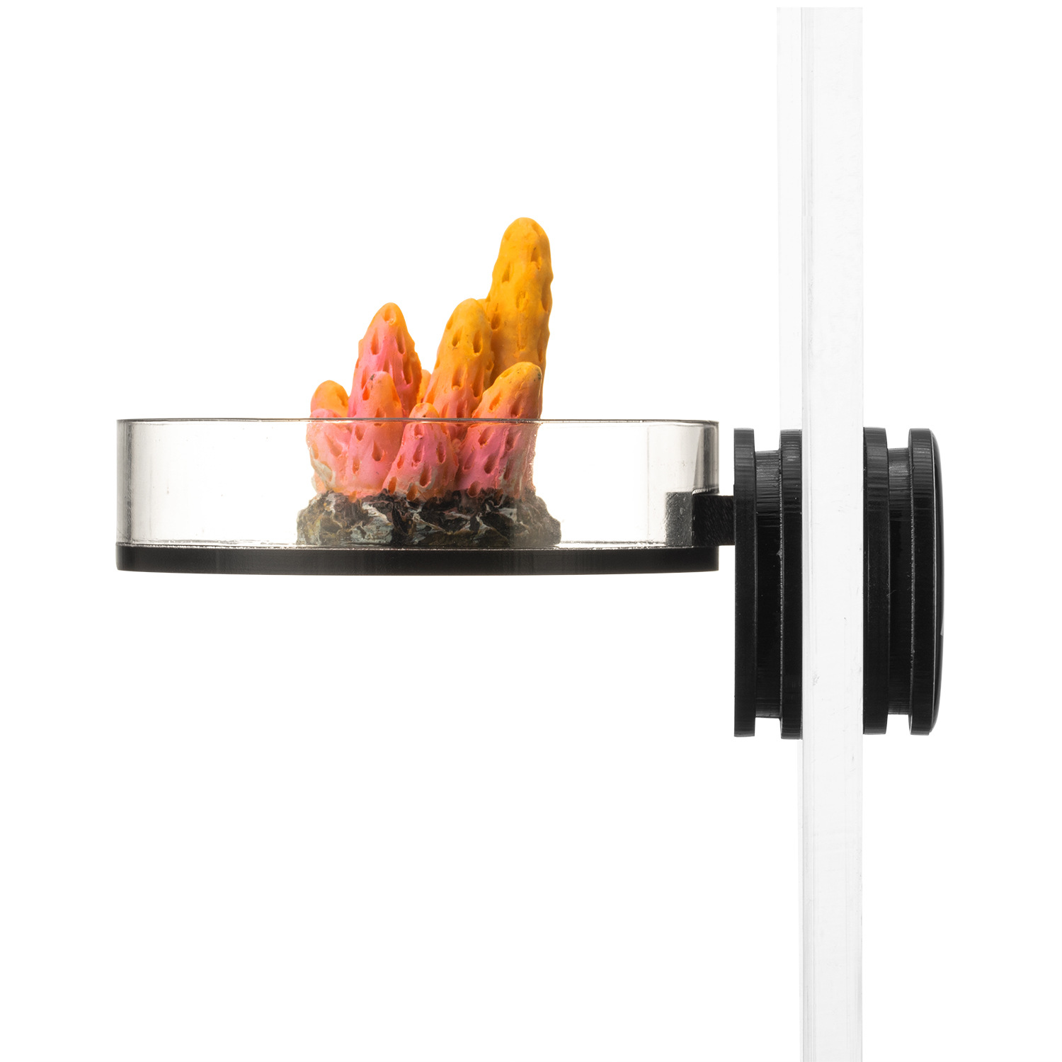 Marine Sources 70mm Black Magn - Aquarium And Marine recensione e prezzo