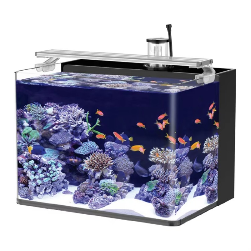 Table Curved Saltwater Marine  - Aquarium Marine Lights recensione e prezzo