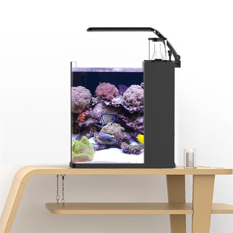 Table Curved Saltwater Marine  - Aquarium Marine Lights recensione e prezzo