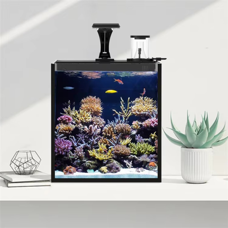 Table Curved Saltwater Marine  - Aquarium Marine Lights recensione e prezzo